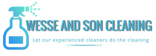 wsoncleaningcom